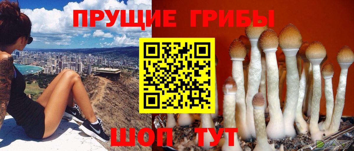 Галлюциногенные грибы GOLDEN TEACHER  Набережные Челны  Псилоцибиновые грибы мицелий 