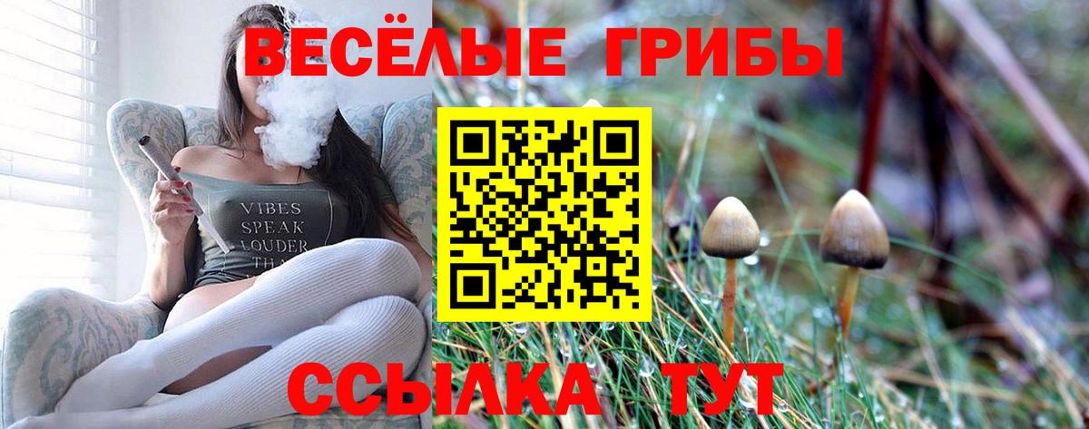 Набережные Челны  Галлюциногенные грибы Psilocybe  даркнет сайт  Вход с VPN 