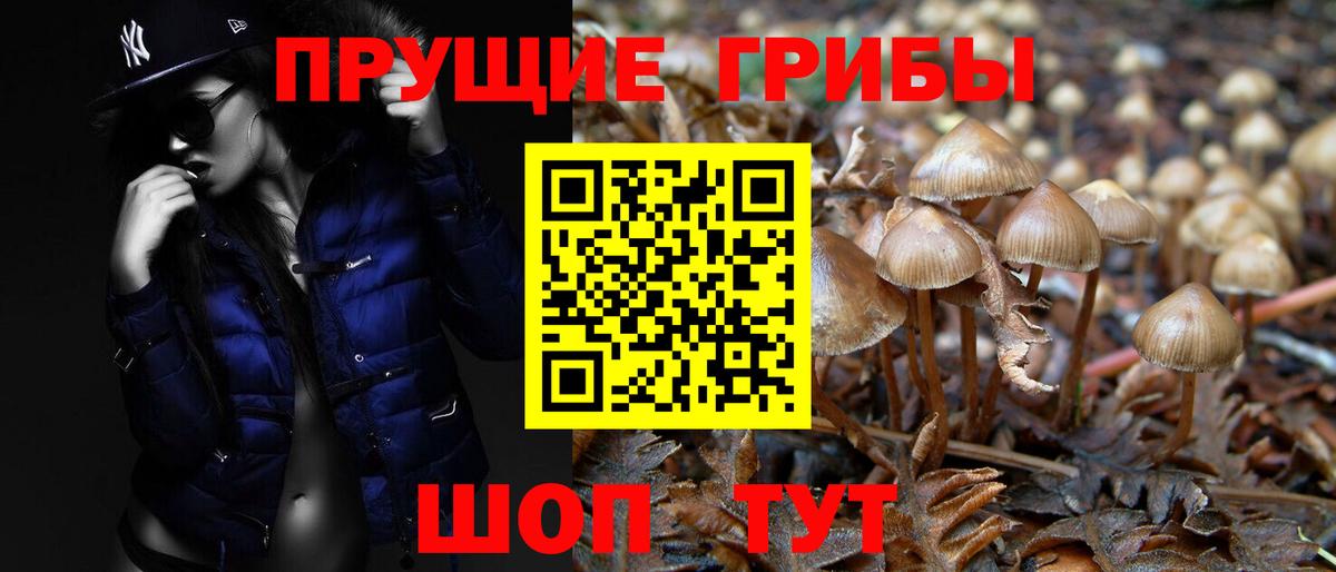 Галлюциногенные грибы ЛСД Набережные Челны